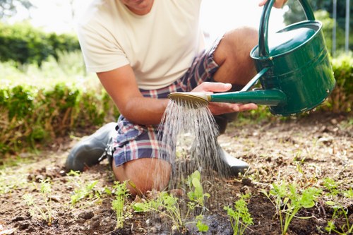 Inclusive and readable Belmont arborist website experience