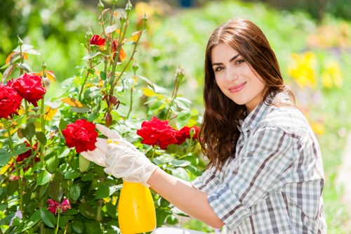 Belmont tree care specialists managing a healthy landscape