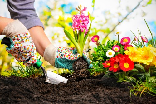 Accepted payment methods for Tree Surgeons Belmont invoices