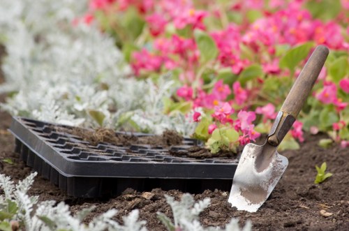 Stump grinding and transparent quote explanation for Belmont properties