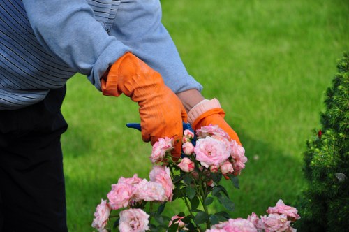 Tree surgeon reviewing safety and liability requirements before work begins
