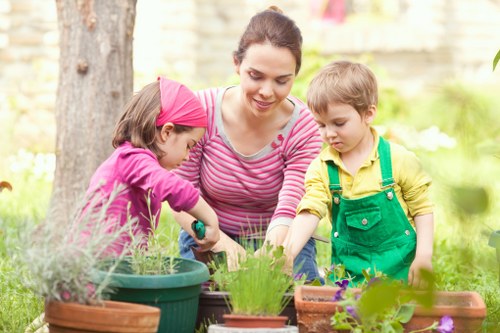 Neat hedge trimming service for a Belmont garden frontage