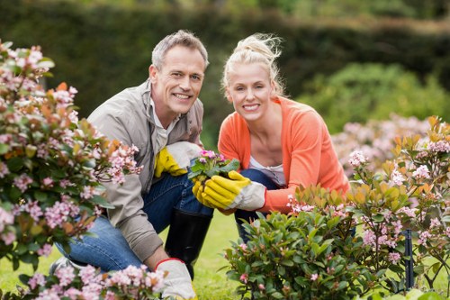 Commercial tree maintenance near Belmont with access planning and safe working
